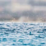 w=1000,h=800,fit=crop,format=auto